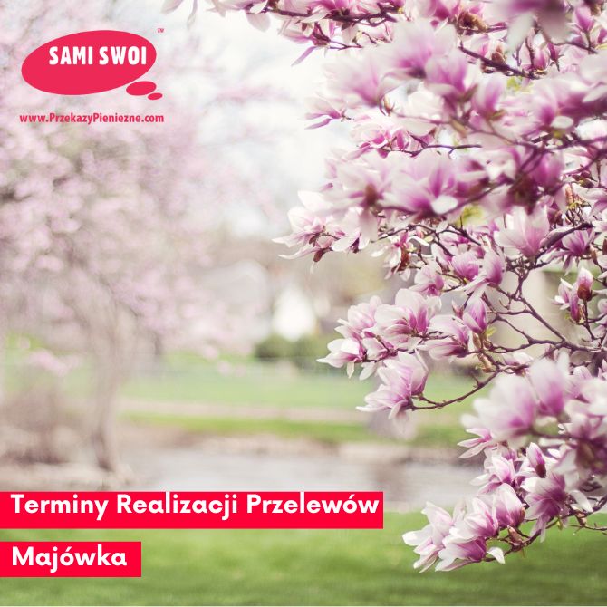 Read more about the article Realizacja przekazów-Majówka 2024