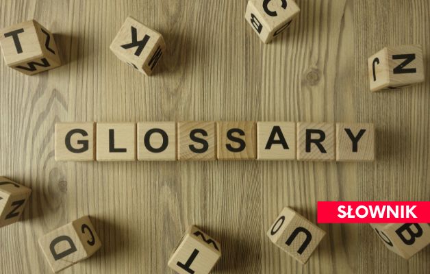 Read more about the article Słownik